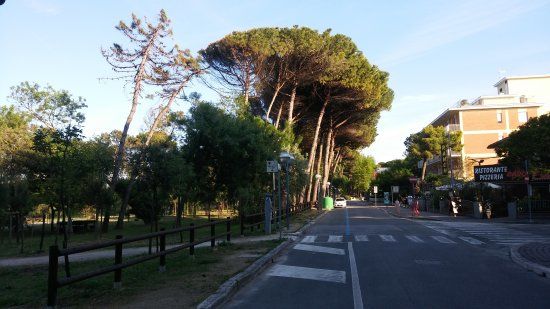 Pineta di Pinarella e Tagliata